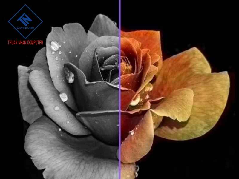 Độ tương phản màn hình là gì?