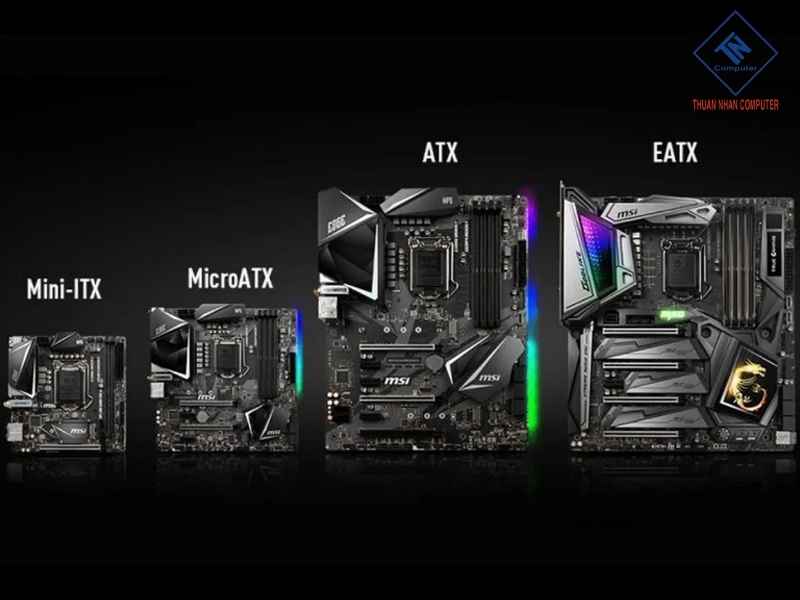 Phân loại theo kích thước