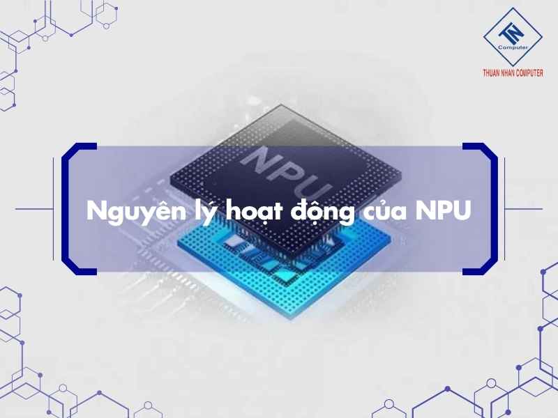 Vì sao NPU xuất hiện trong thời kỳ AI phát triển ?