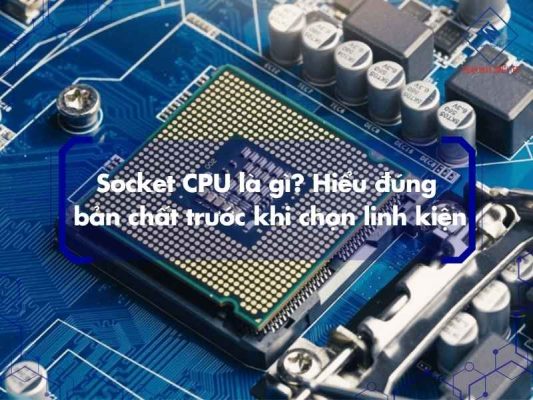 socket cpu la gi 1